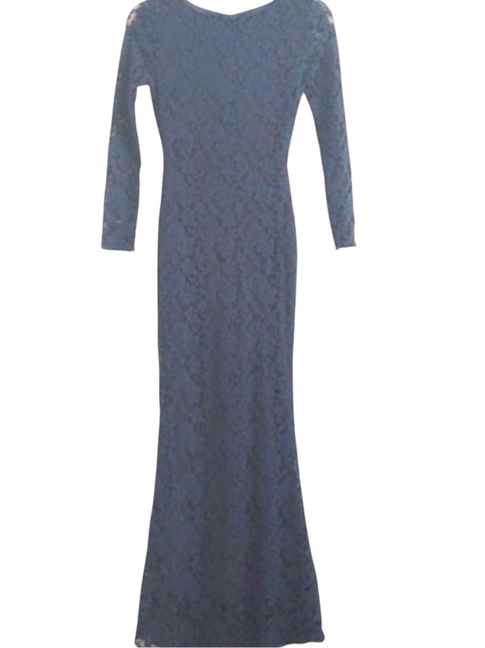 Venus Floral Blue Open Back Lace Gown 2